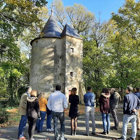 Chateau De Mornay Saint-Pierre-de-l'Isle Luaran gambar