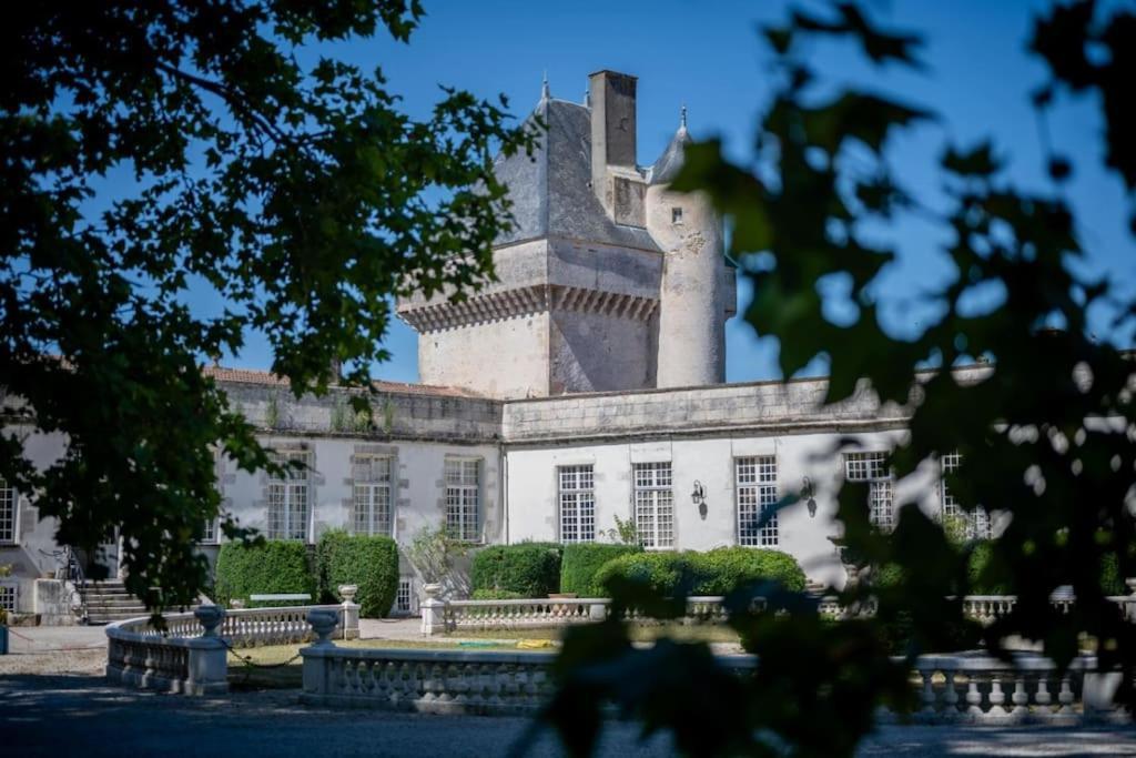 Chateau De Mornay Saint-Pierre-de-l'Isle Luaran gambar