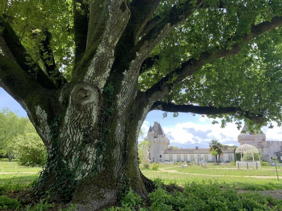 Chateau De Mornay Saint-Pierre-de-l'Isle Luaran gambar